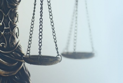 gallery/litigation